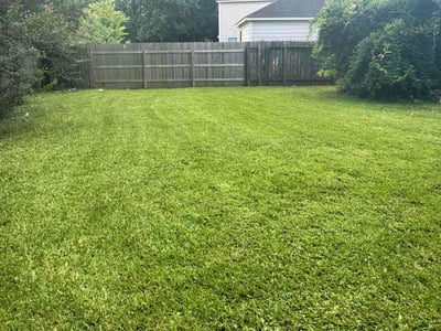 Lawn care service in Humble, 77346