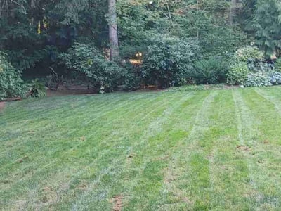 Lawn care service in Bellevue, 98005