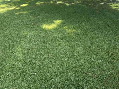 Lawn care service in Chamblee, 30341