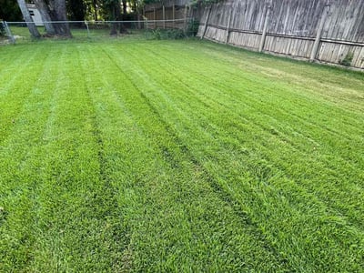 Lawn care service in Tallahassee, 32303