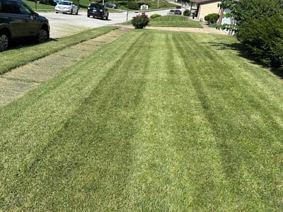 Lawn care service in Saint Charles, 63301