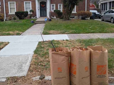 Lawn care service in Detroit, 48202