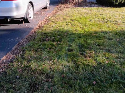 Lawn care service in , 