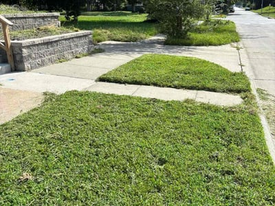 Lawn care service in Omaha, 68111
