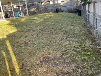 Lawn care service in , 