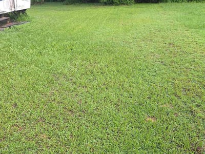 Lawn care service in Dunnellon, 34431