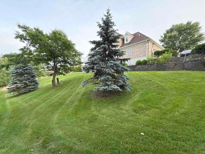 Lawn care service in Lawrenceburg, 47025