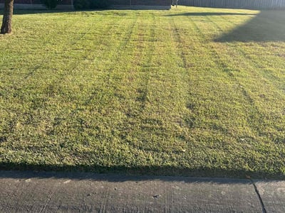 Lawn care service in Rockwall, 75087