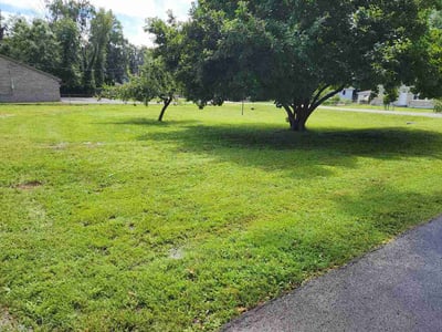 Lawn care service in Louisville, 40258