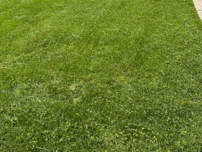 Lawn care service in Crystal Lake, 60014