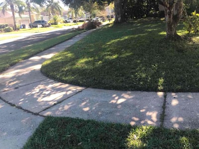 Lawn care service in Odessa, 33556