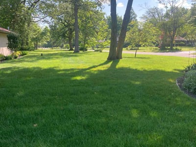 Lawn care service in Columbus, 43204