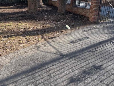 Lawn care service in McLean, 22101