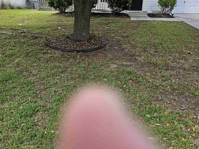 Lawn care service in Summerville, 29485