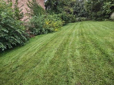 Lawn care service in Chicago, 60621