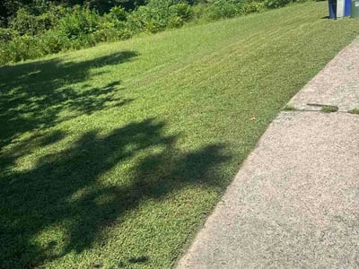 Lawn care service in Portsmouth, 23704