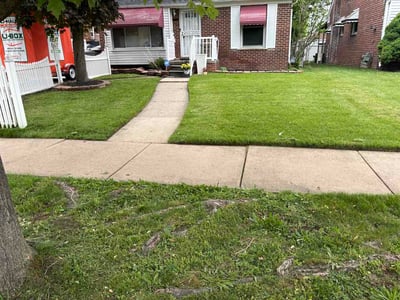Lawn care service in Inkster, 48141