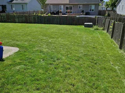 Lawn care service in Romeoville, 60446