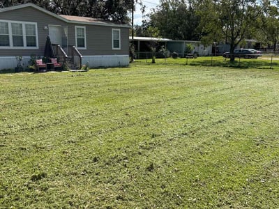Lawn care service in Zephyrhills, 33544