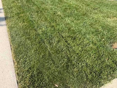Lawn care service in Glen Burnie, 21060