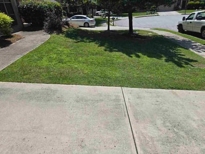 Lawn care service in Buford, 30519