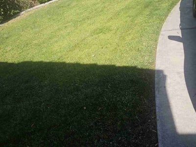Lawn care service in Sacramento, 95835
