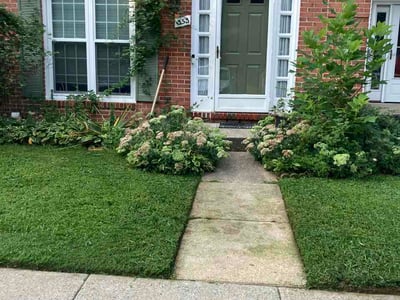Lawn care service in Silver Spring, 20901