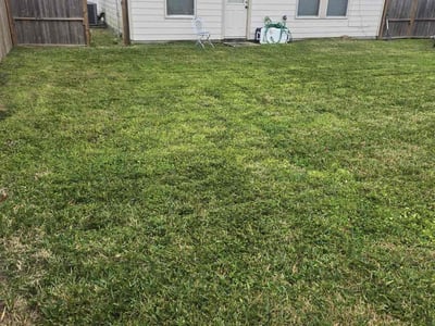 Lawn care service in Humble, 77338