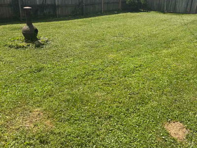 Lawn care service in Dayton, 45420