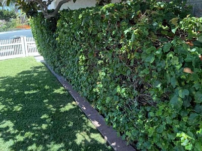 Lawn care service in San Diego, 92037