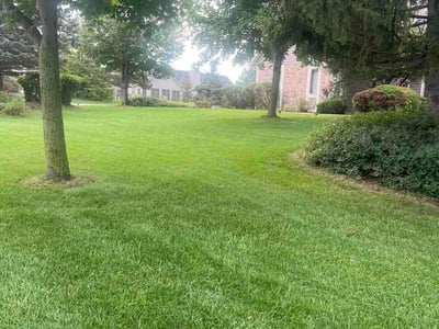Lawn care service in Franklin, 53132