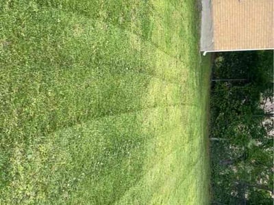 Lawn care service in Louisville, 40216
