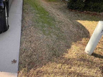 Lawn care service in Fort Worth, 76179