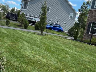 Lawn care service in Spotsylvania Courthouse, 22551