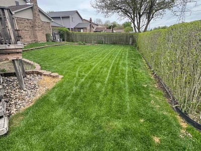 Lawn care service in Dearborn, 48124
