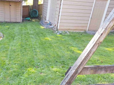 Lawn care service in Bothell, 98012