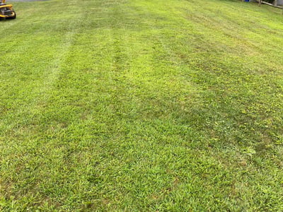 Lawn care service in Pittsburgh, 15239