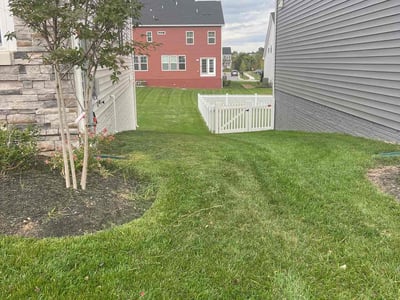 Lawn care service in Brunswick, 21716