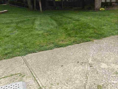 Lawn care service in Overland Park, 66210