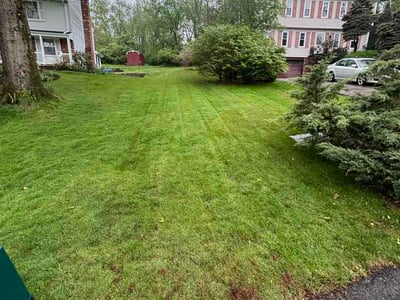 Lawn care service in Pittsburgh, 15241