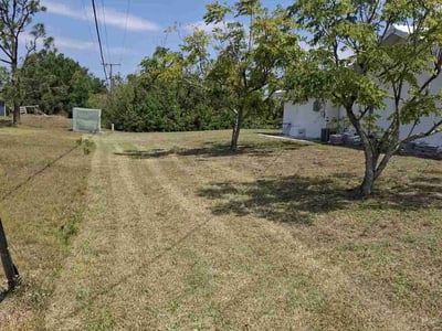 Lawn care service in Punta Gorda, 33982