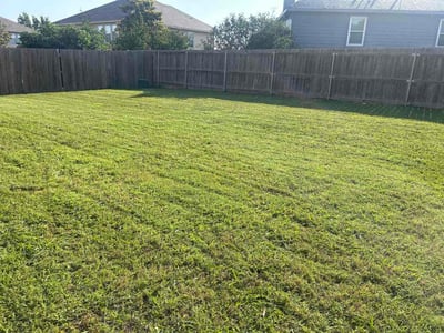Lawn care service in McKinney, 75071