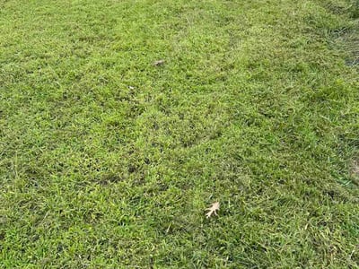 Lawn care service in Gloucester Township, 08012