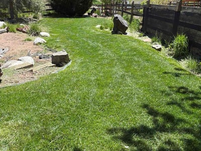 Lawn care service in Littleton, 80127