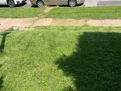 Lawn care service in St. Louis, 63109