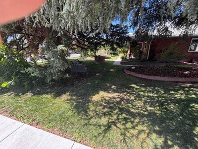 Lawn care service in Sparks, 89431