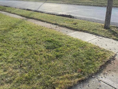 Lawn care service in Indianapolis, 46226
