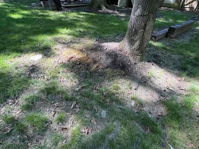 Lawn care service in Midlothian, 23112