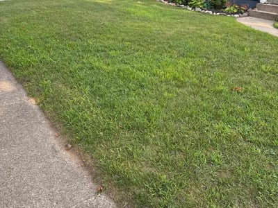 Lawn care service in Grand Rapids, 49505