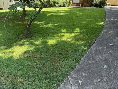 Lawn care service in Fultondale, 35068